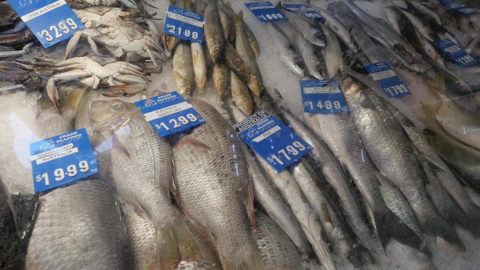 Fresh whole fish selection