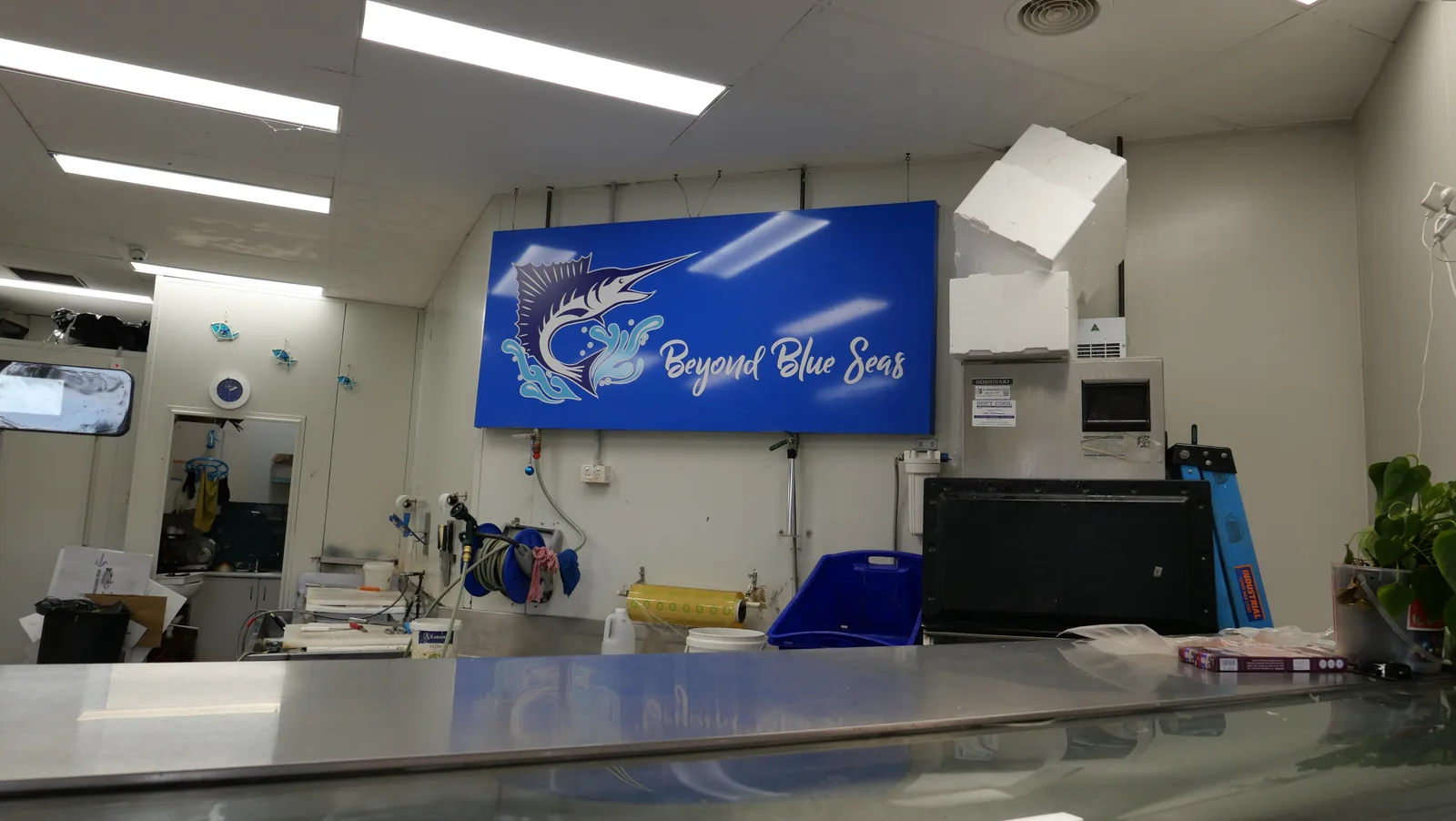 Beyond Blue Seas fresh seafood display