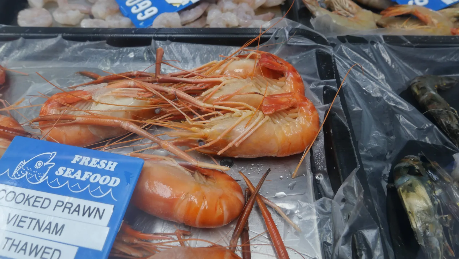 Fresh prawns
