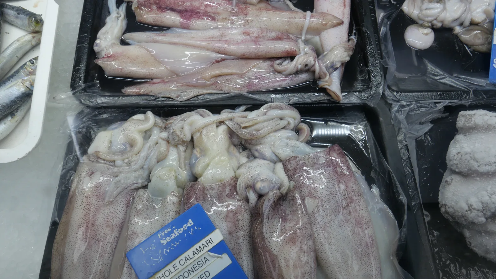 Calamari and squid selection