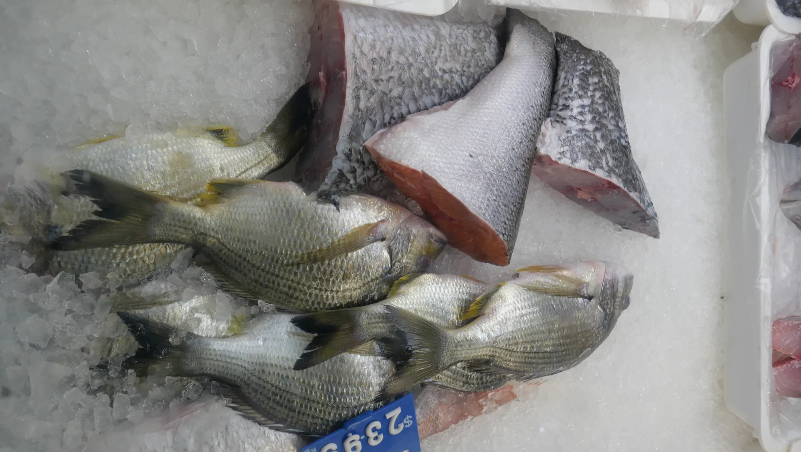 Fresh whole fish on ice