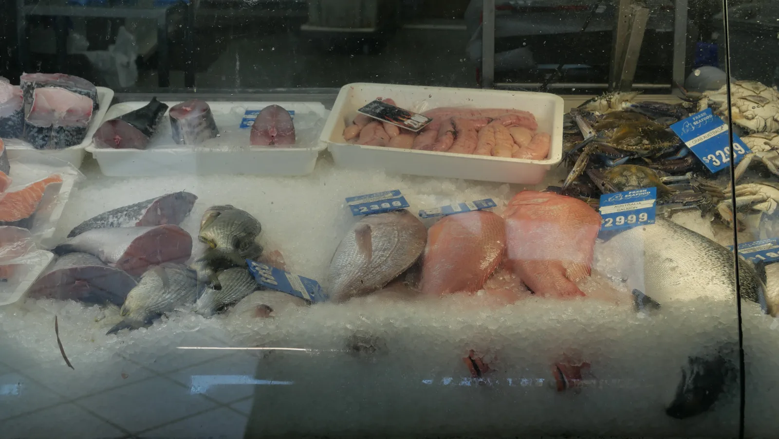 Fresh seafood display at Beyond Blue Seas