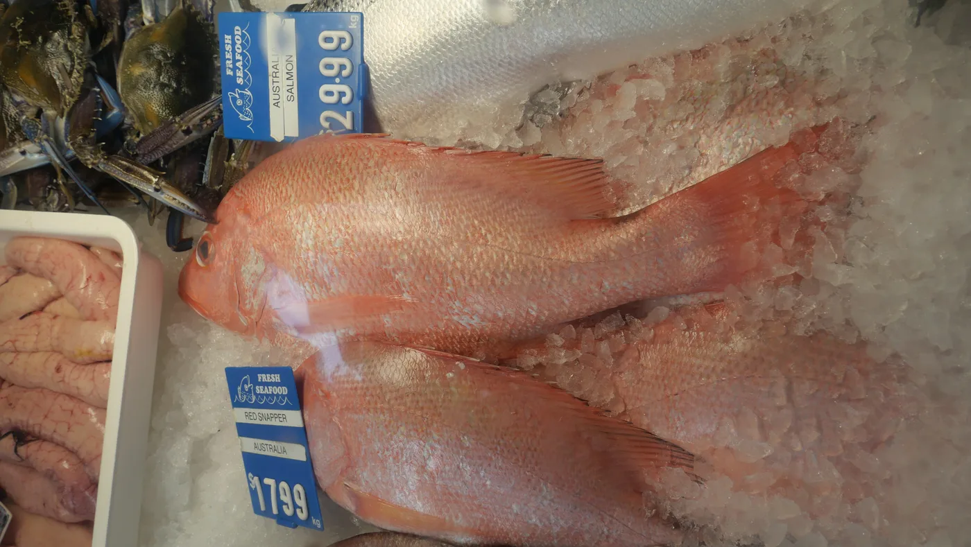 Whole snapper